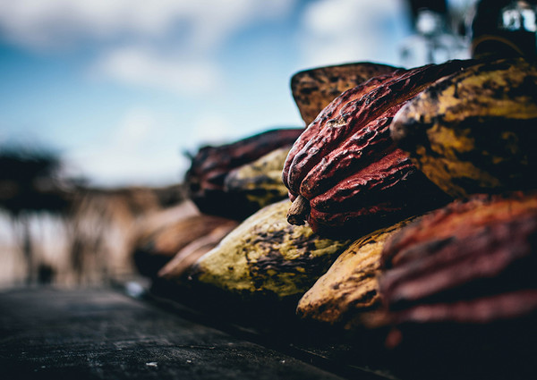 Supply Chain Law: new German law mandating sustainable supply chain management